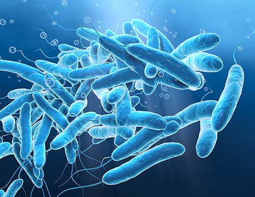 Legionella Risk Assessment